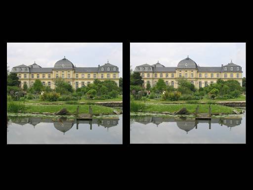 Botanischer Garten vor dem Poppelsdorfer Schloß